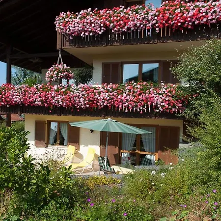 Petra Koller Apartment *